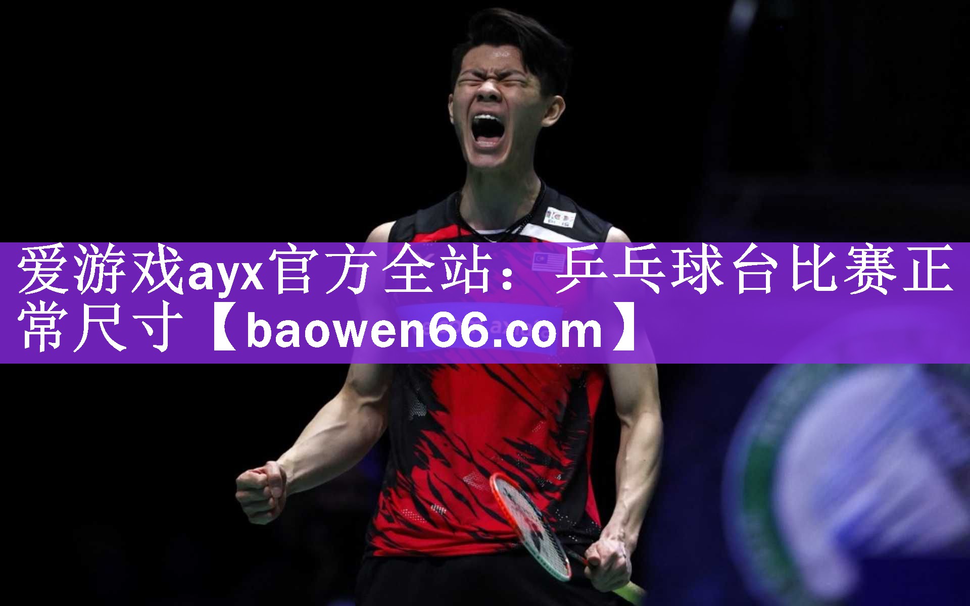 爱游戏ayx官方全站：乒乓球台比赛正常尺寸