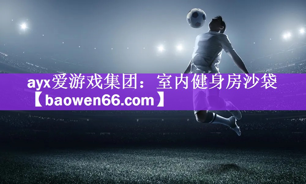 <strong>ayx爱游戏集团：室内健身房沙袋</strong>