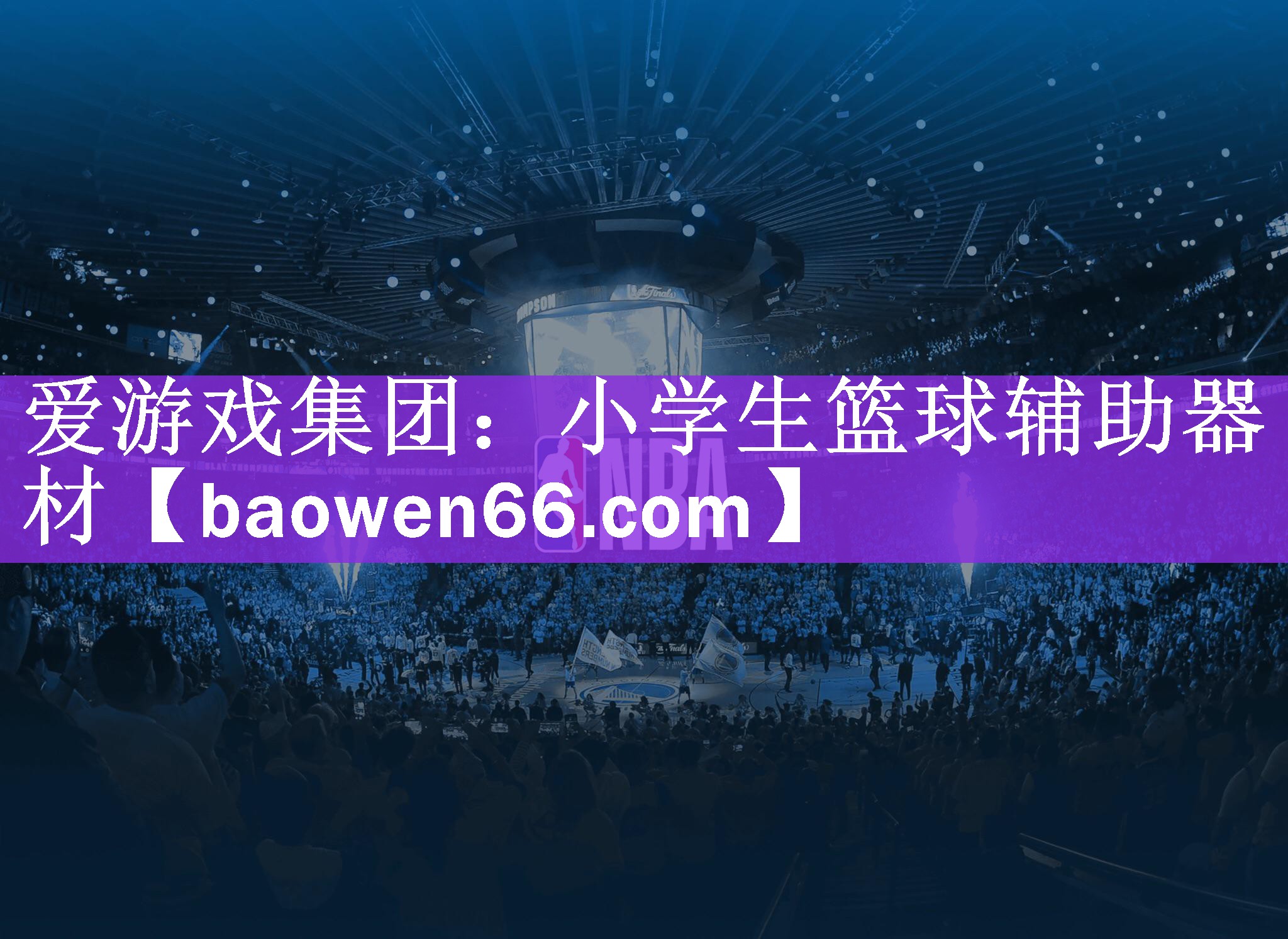 <strong>爱游戏集团：小学生篮球辅助器材</strong>