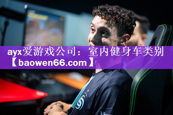<strong>ayx爱游戏公司：室内健身车类别</strong>