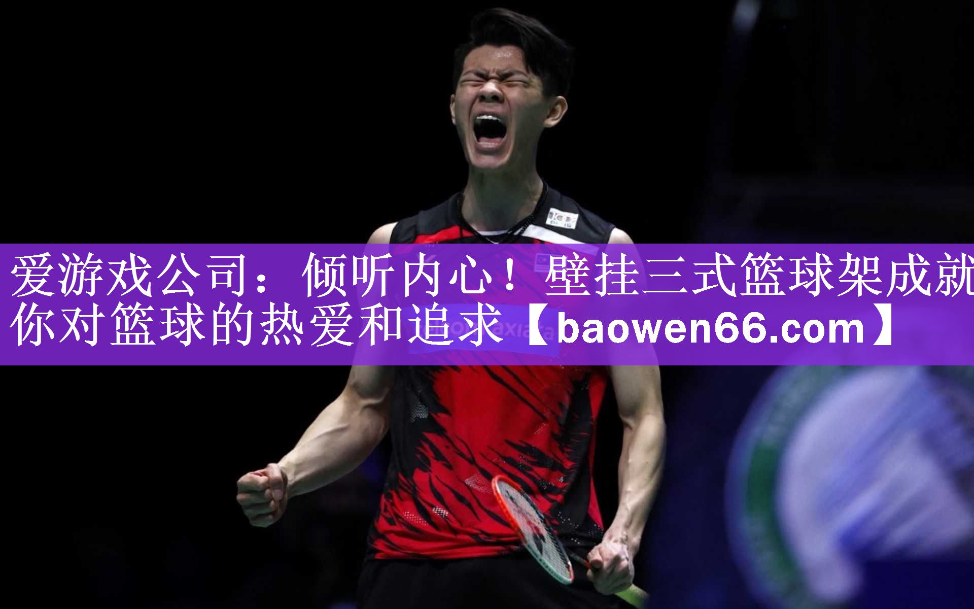 <strong>爱游戏公司：倾听内心！壁挂三式篮球架成就你对篮球的热爱和追求</strong>