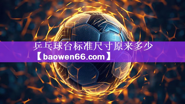 <strong>乒乓球台标准尺寸原来多少</strong>