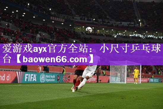 <strong>爱游戏ayx官方全站：小尺寸乒乓球台</strong>
