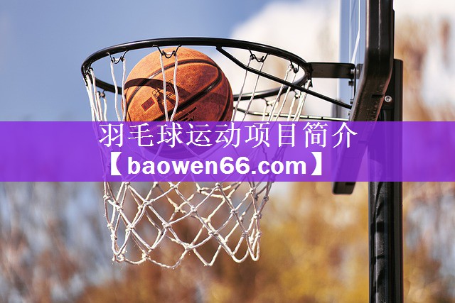 羽毛球运动项目简介