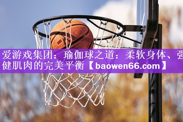 瑜伽球之道：柔软身体、强健肌肉的完美平衡