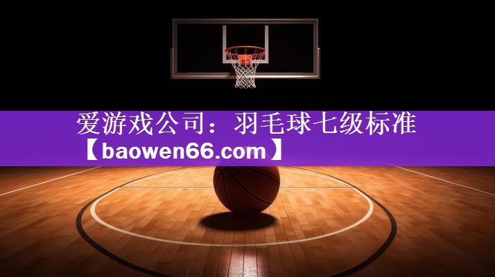 羽毛球七级标准