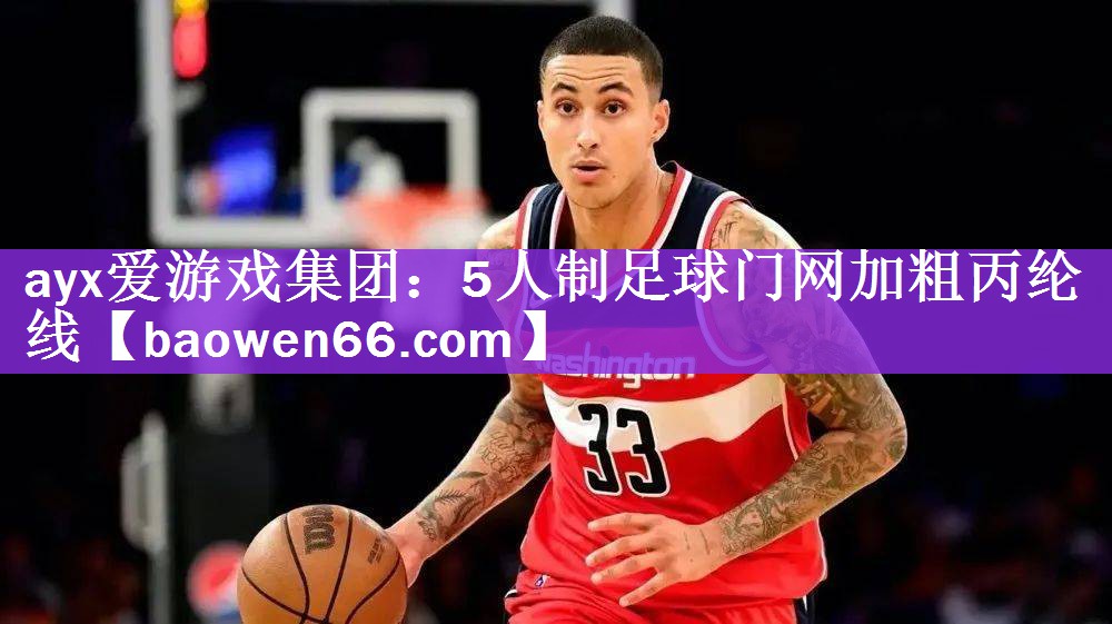 5人制足球门网加粗丙纶线