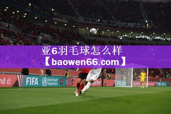亚6羽毛球怎么样